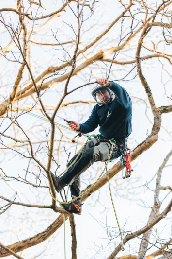 Niko beim arbeiten 2