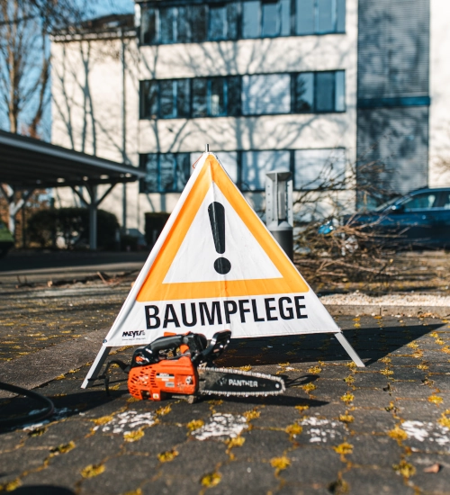 Vorsicht Baumpflege